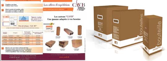 cavb-services-expedition